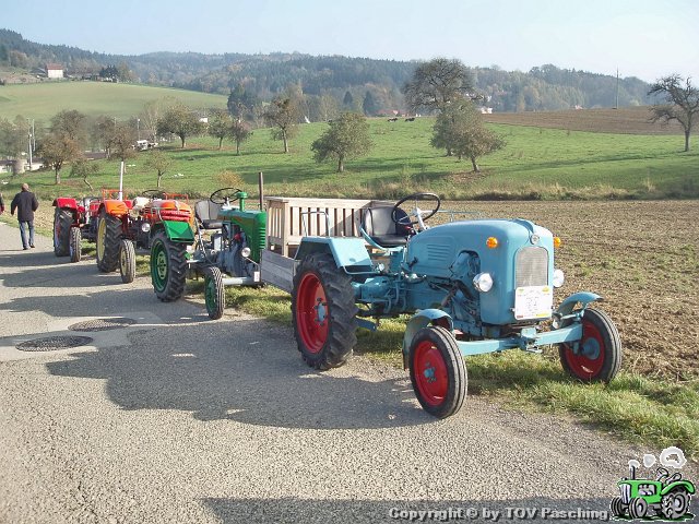 PA263800.jpg