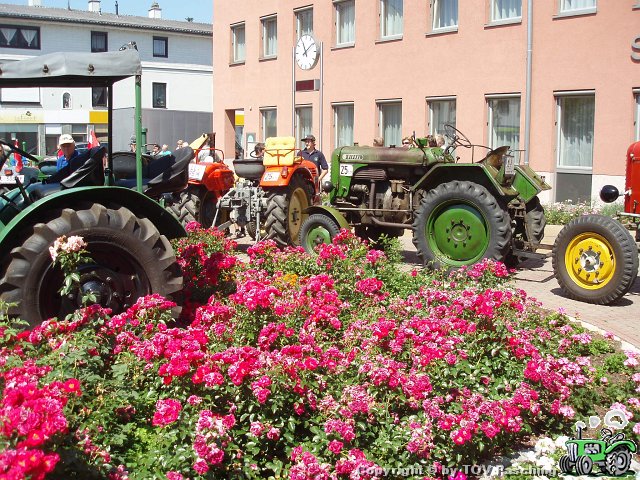 P6222971.JPG