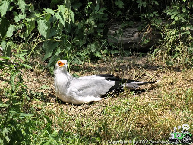 Schmiding_081.jpg