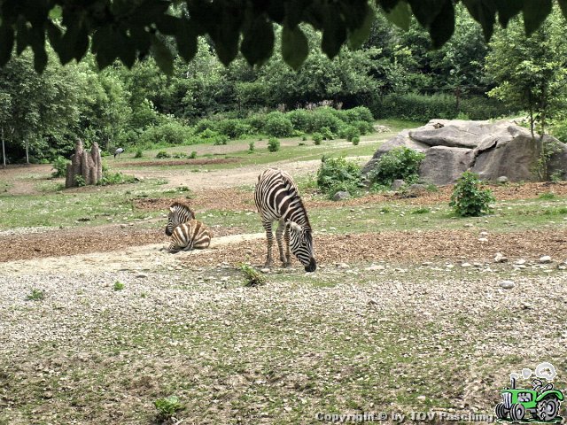 Schmiding_129.jpg