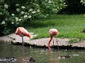 Schmiding_054