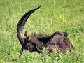Schmiding_073