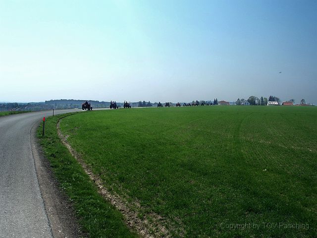 P4136484.jpg