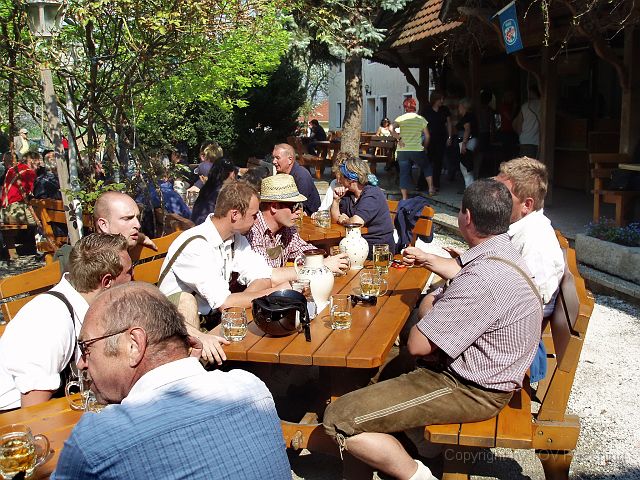 P4136527.jpg