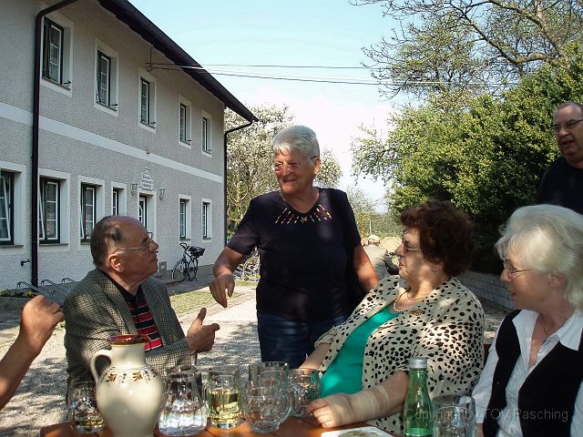 P4136564.jpg