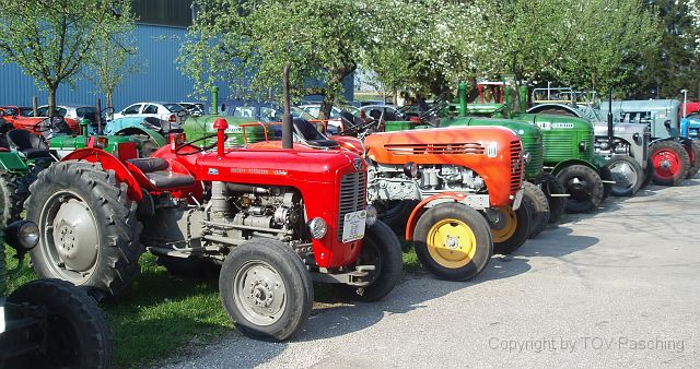P4136577.jpg