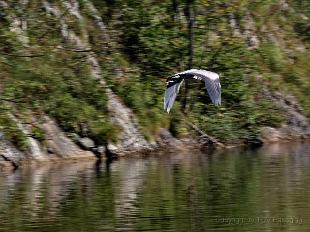 Busausflug_2009_057.jpg