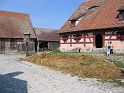 IMG_0746