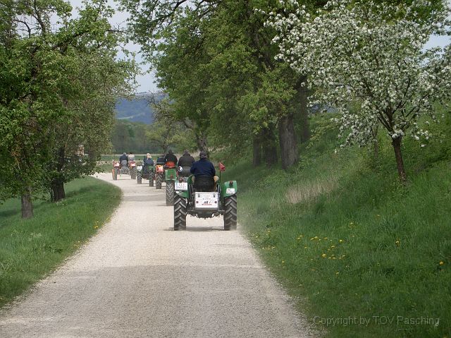 CIMG1329.jpg
