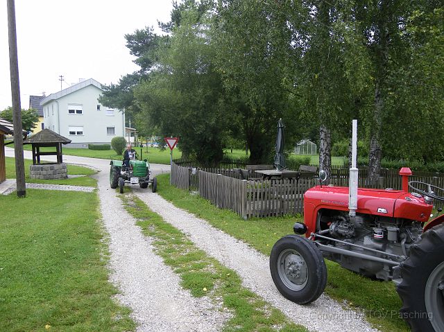 IMGP1833.JPG