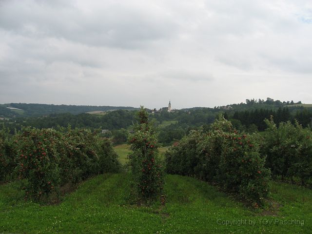 IMG_0490.JPG