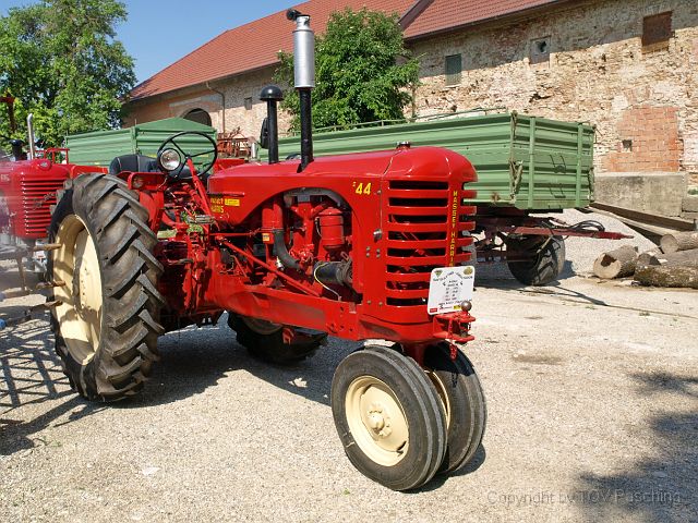 Hirschvogel_05.JPG