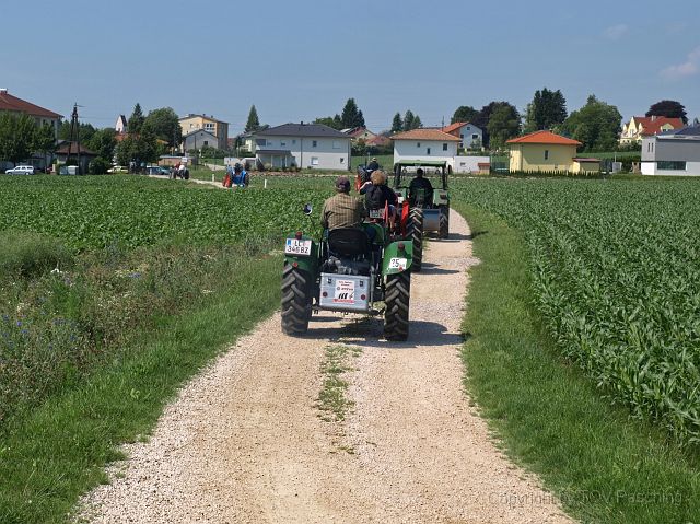 Hirschvogel_06.JPG