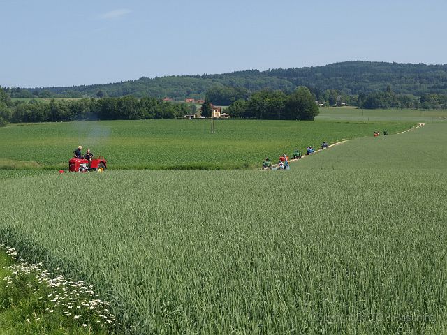 Hirschvogel_08.JPG