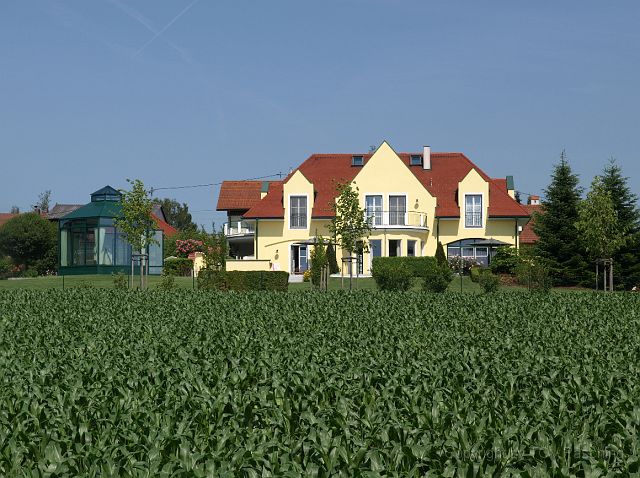 Hirschvogel_20.JPG