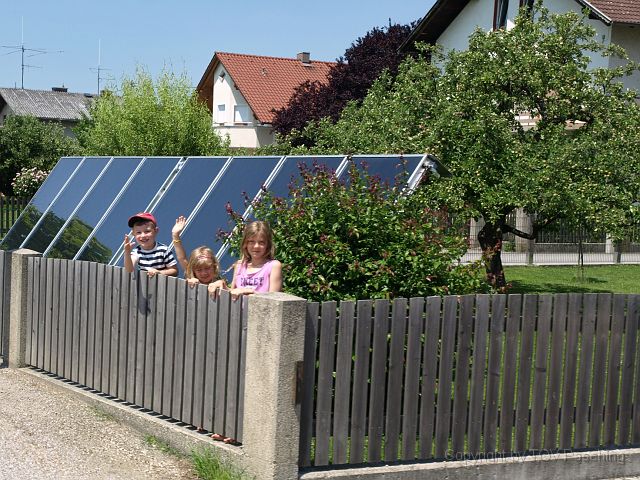 Hirschvogel_27.JPG