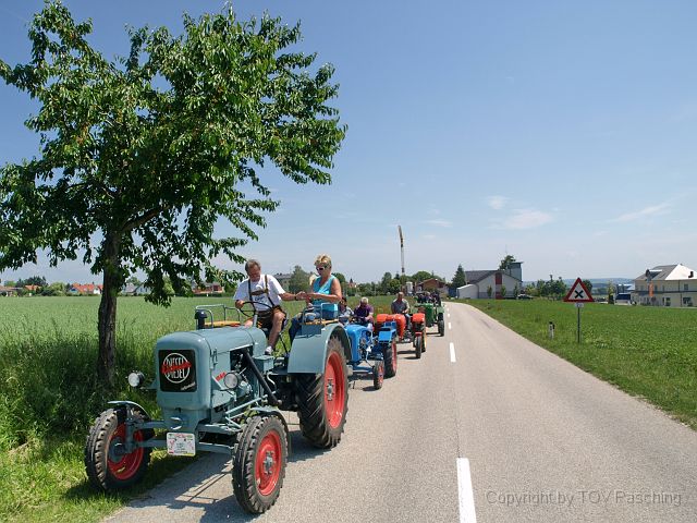 Hirschvogel_30.JPG
