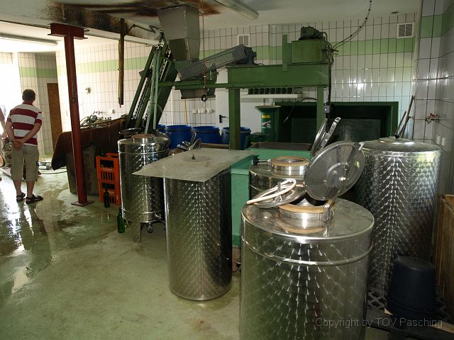 Hirschvogel_51.JPG