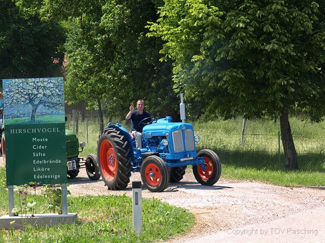 Hirschvogel_59.JPG