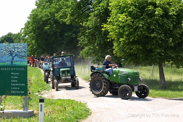 Hirschvogel_60.JPG