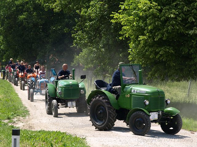Hirschvogel_62.JPG