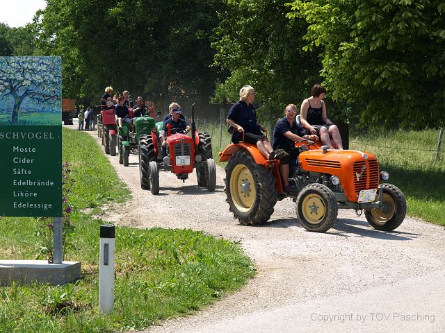 Hirschvogel_63.JPG