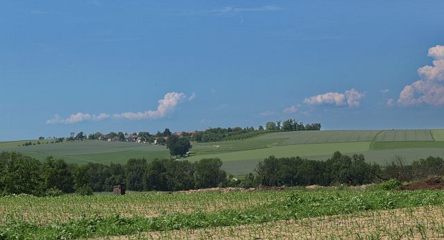 Hirschvogel_67.JPG