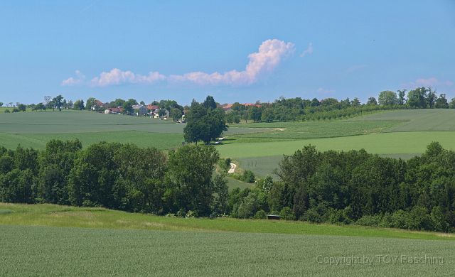 Hirschvogel_68.JPG