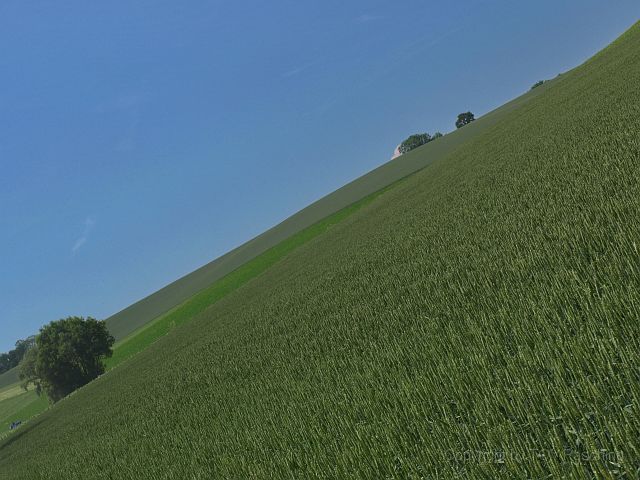 Hirschvogel_70.JPG
