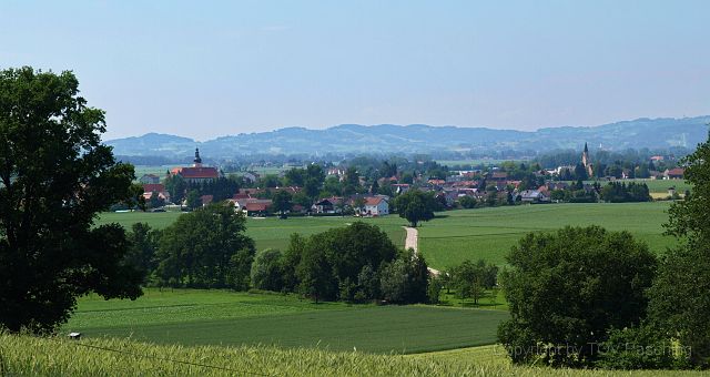 Hirschvogel_74.JPG