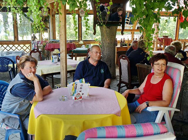 Hirschvogel_78.JPG