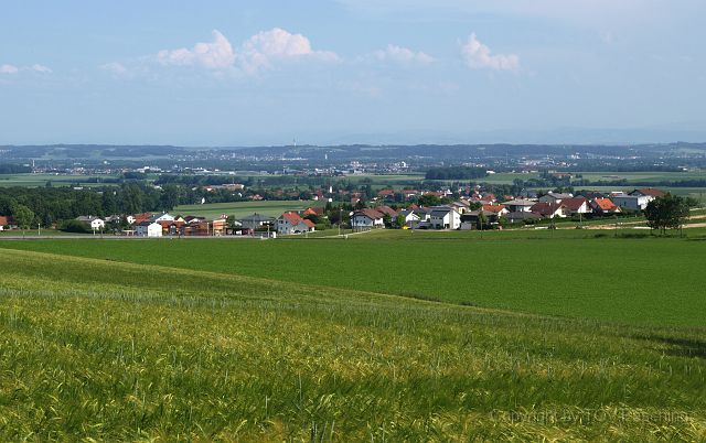 Hirschvogel_79.JPG