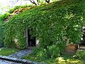 Hirschvogel_45