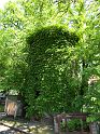 Hirschvogel_46