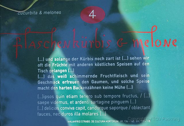 Busausflug_2011_109.JPG