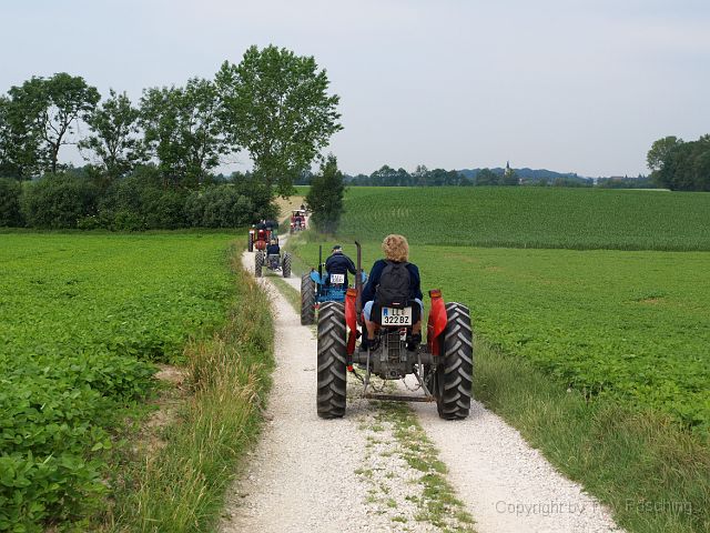 Most_Hofer_Garten_d_Geheimnisse_003.JPG