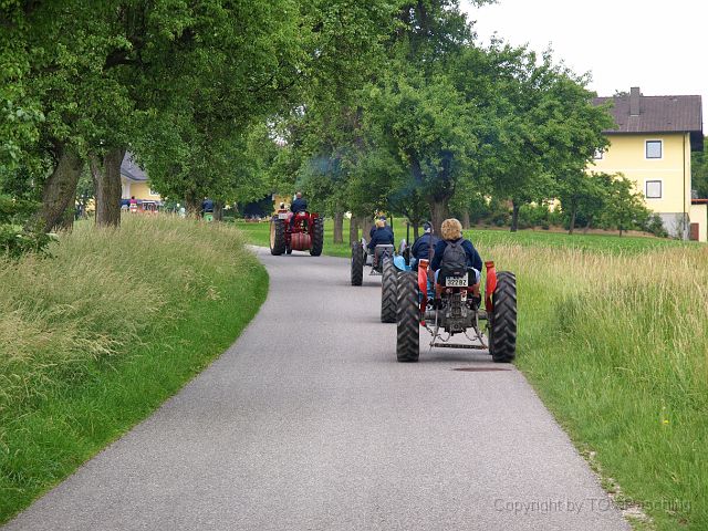 Most_Hofer_Garten_d_Geheimnisse_004.JPG