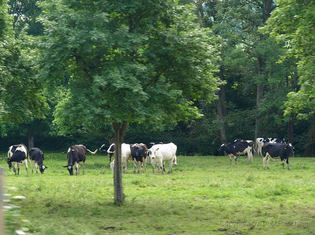 Most_Hofer_Garten_d_Geheimnisse_007.JPG