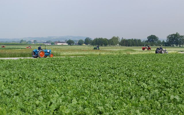Most_Hofer_Garten_d_Geheimnisse_008.JPG