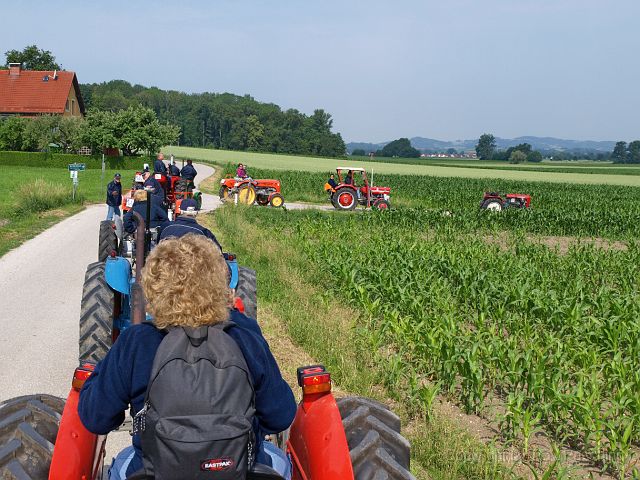 Most_Hofer_Garten_d_Geheimnisse_009.JPG