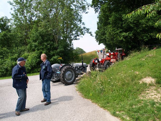 Most_Hofer_Garten_d_Geheimnisse_031.JPG