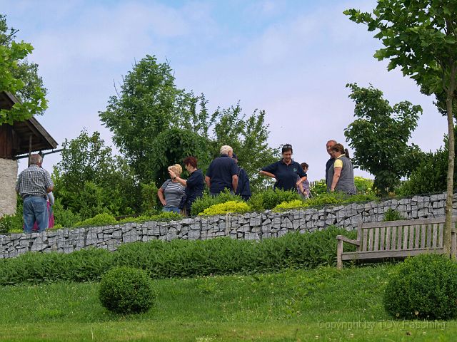 Most_Hofer_Garten_d_Geheimnisse_042.JPG