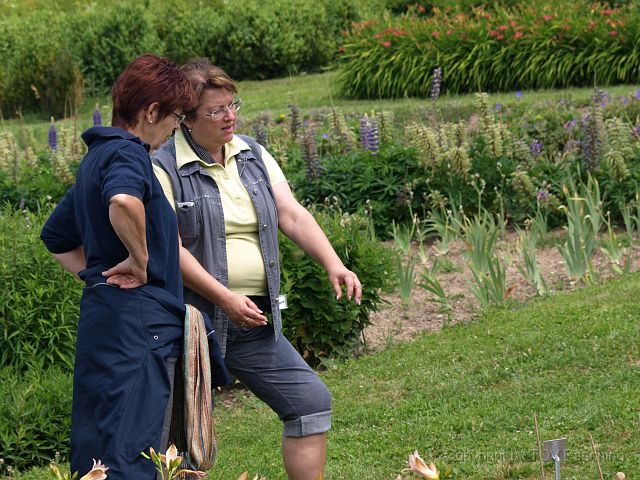 Most_Hofer_Garten_d_Geheimnisse_049.JPG