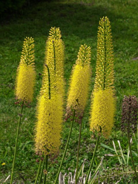 Most_Hofer_Garten_d_Geheimnisse_059.JPG