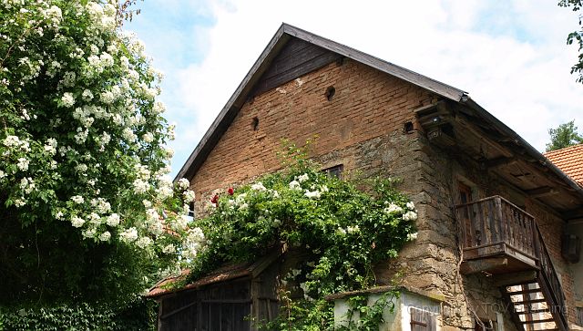 Most_Hofer_Garten_d_Geheimnisse_078.JPG