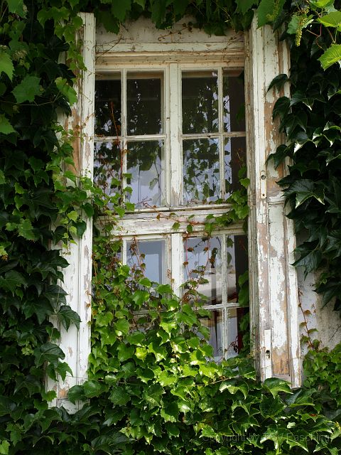 Most_Hofer_Garten_d_Geheimnisse_083.JPG