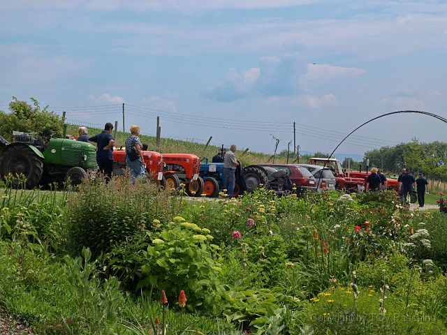 Most_Hofer_Garten_d_Geheimnisse_086.JPG