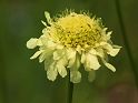 Most_Hofer_Garten_d_Geheimnisse_046
