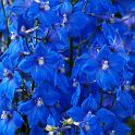 Most_Hofer_Garten_d_Geheimnisse_051