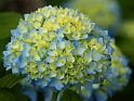Most_Hofer_Garten_d_Geheimnisse_053